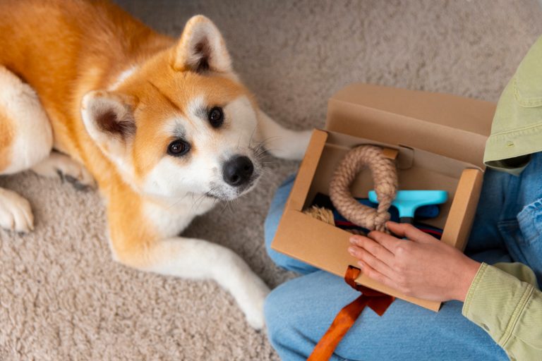 La revolución del packaging pet-friendly